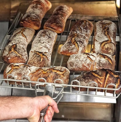 Antonio Ramos, topógrafo de formación, trabajaba en la obra pública hasta que, al llegar la crisis de 2008, empezó a hacer pan en casa como 'hobby'. En 2014 entró a trabajar en la famosa panadería Panic y, tres años más tarde, inauguraría <a href="https://www.instagram.com/obradorsanfrancisco/?hl=es" rel="nofollow" target="_blank">el Obrador San Francisco</a> en la madrileña La Latina. En 2019 fue nombrado Miga de Oro de Madrid, empatado con Javier Cocheteux, de <a href="https://pandelirio.es/" rel="nofollow" target="_blank">Pan Delirio</a>. Ofrece piezas artesanas elaboradas con masa madre natural, harinas e ingredientes ecológicos. Panes de trigo blanco, con semillas, de nueces y pasas, chocolate y cacao, 'picajo' (ajos asados y chile habanero), de aceitunas y tomillo; de espelta y de centeno 100% integral; chapatas y pistolas. El día 7 de cada mes, es el turno del pan de cebolla y laurel infusionado en leche. Y en su carta de bollería, 'panquemao', 'cookies', 'brownies' y rollos de cardamomo y de canela.