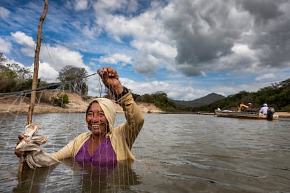 Una mujer pesca usando una red en las aguas poco profundas del río Rupununi, en Guyana. Los estudios indican que los medios de vida que dependen de la caza son sostenibles dentro de las tierras indígenas de la región.