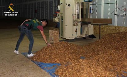 Un agente examina la picadura de tabaco para elaborar cigarrillos falsificados.