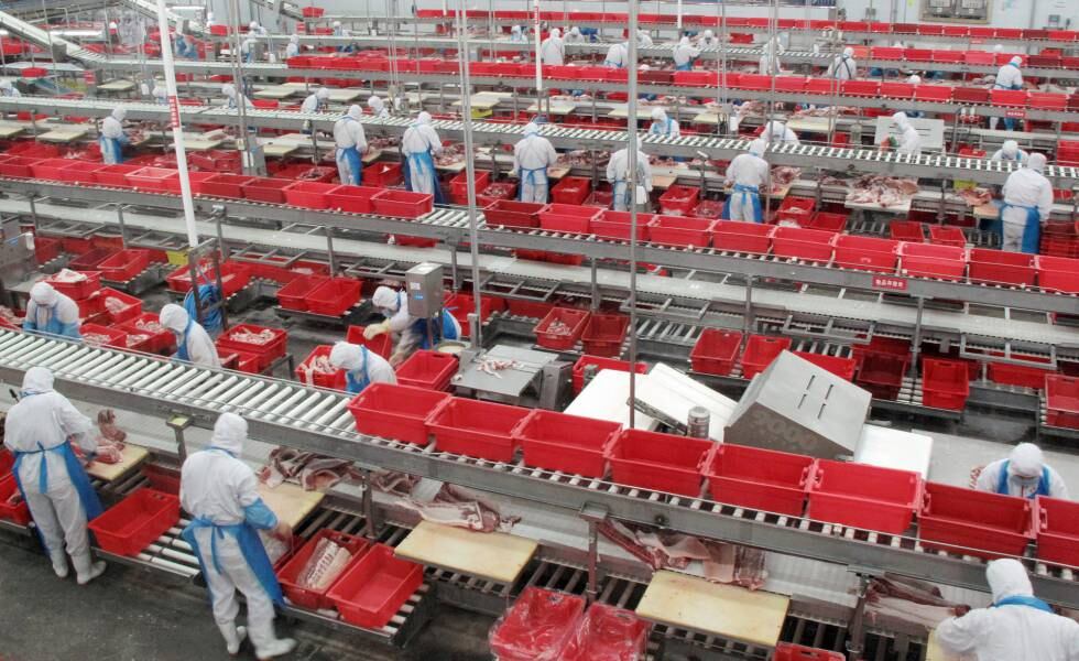 Trabajadores en una planta procesadora de carne de cerdo en Zhengzhou, China.
