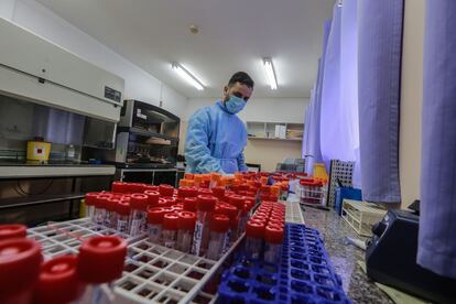 Un sanitario procesa pruebas de detección del coronavirus, el lunes en Gaza.