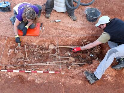 Exhumación de cadáveres de la Guerra Civil en una cuneta cerca de La Riba de Escalote (Soria), el pasado 27 de septiembre.