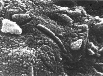 Detalle de las estructuras del meteorito ALH84001, proveniente de Marte encontrado en la Antártida.