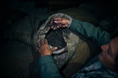 Mari Carmen González abre uno de los sacos de cornezuelo que quedaron almacenados durante la dictadura en el negocio de sus tíos, en la villa ourensana de Dacón (Maside).