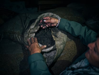 Mari Carmen González abre uno de los sacos de cornezuelo que quedaron almacenados durante la dictadura en el negocio de sus tíos, en la villa ourensana de Dacón (Maside).