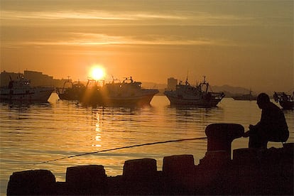 La flota pesquera de bajura española está compuesta por cerca de 10.000 barcos, que dan empleo directo a 60.000 personas y de forma indirecta a 250.000 personas. Las capturas de pescado alcanzan un total de 1,12 millones de toneladas, mientras que importamos cerca de 325.000 toneladas. El consumo medio de pescado por habitante es de 36 kilos. En la imagen, amanece en el bloqueado puerto de Almería.