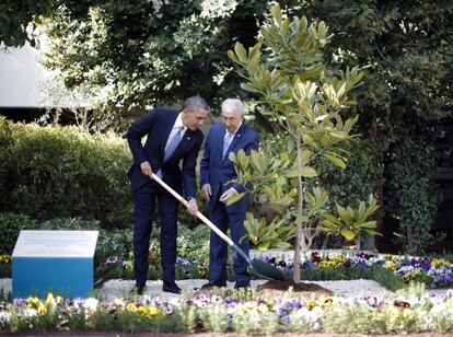 El presidente de Estados Unidos, Barack Obama, planta un árbol de magnolias ,trasladado desde la Casa Blanca, en el jardín de la residencia que ocupa en estos momentos Simón Peres, con quien Obama celebró la primera entrevista de su agenda en esta gira por Israel, Palestina y Jordania.