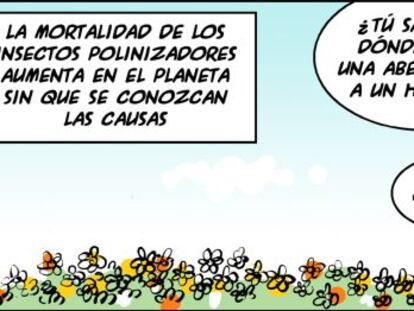 Ramón