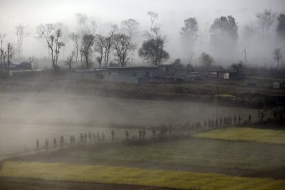 Una patrulla policial por un campo de mostaza en Khokana (Nepal).