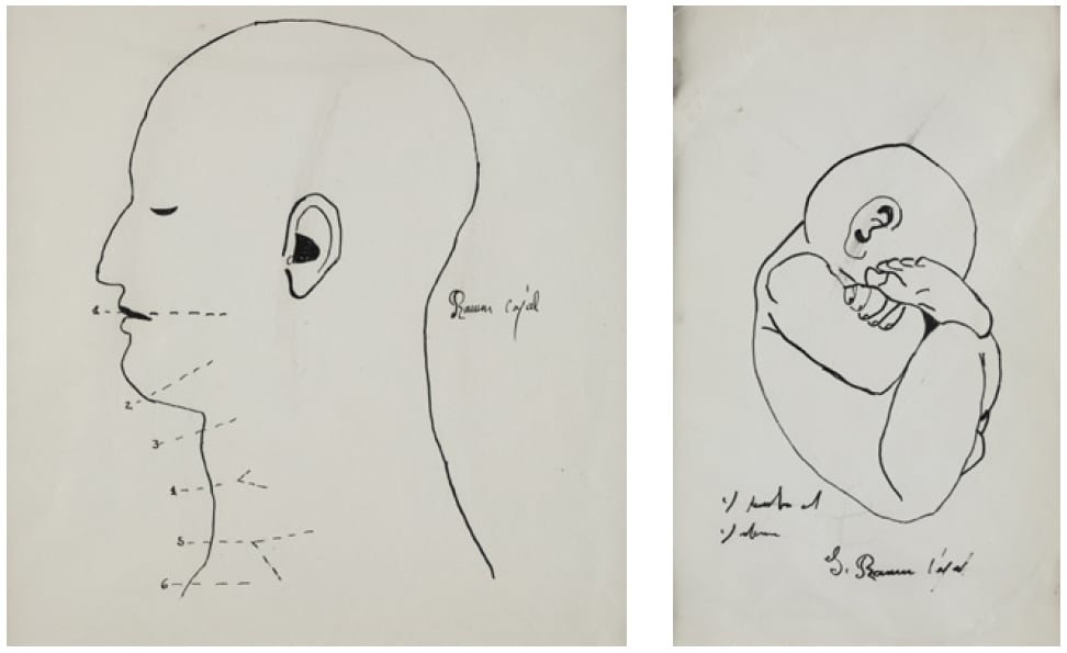 Dos de los supuestos dibujos de Cajal retirados de la subasta de Ansorena.