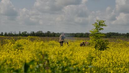 Disparo de mortero desde un campo de flores en Vuhledar, Donetsk, Ucrania, el pasado 25 de mayo.