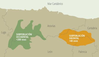 Área del oso pardo en la cordillera cantábrica.