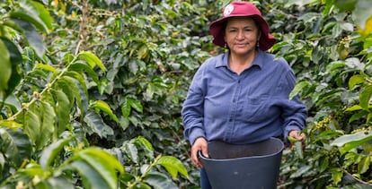 Caficultora colombiana del departamento del Cauca.