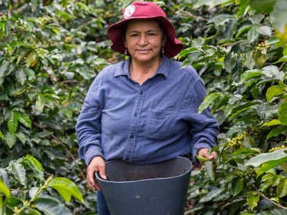 Caficultora colombiana del departamento del Cauca.