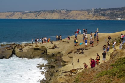 Tourists photograph sea lions in La Jolla.