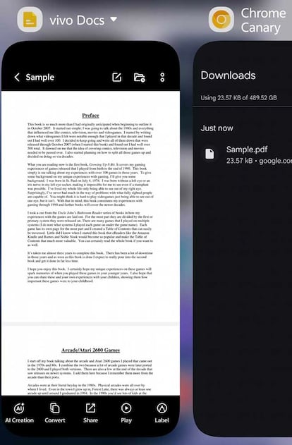 App externa PDF abierto Chrome