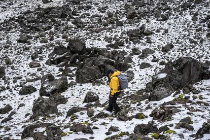 Hugo Delgado, director del Instituto de Geofísica de la UNAM hasta el pasado abril, lleva recorriendo el Iztaccíhuatl desde los años 70. A lo largo de los años ha ido observando el retroceso de los glaciares en esta montaña: si en los años 50 albergaba 11 masas de hielo, ahora quedan únicamente tres.