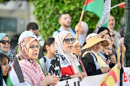Protesta en solidaridad con los palestinos de Gaza