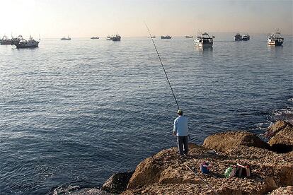 El sector pesquero confía en que el Ministerio de Agricultura, Pesca y Alimentación "mueva ficha" y ofrezca una solución a sus demandas, ya que de no ser así mantendrán sus acciones de protesta de forma indefinida. La última oferta del Gobierno consiste en aumentar la ayuda al gasóleo un 40% con respecto a la concedida anteriormente, de forma que pasaría de 0,06 euros a 0,084 euros el litro para el periodo de septiembre 2004 a septiembre de 2005. En la foto, la flota de Alicante, en la bocana del puerto.