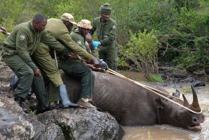 Kenya Wildlife Service