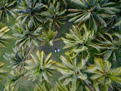 Foram feitas imagens de vulcões, de praias, de cidades... e agora Jarret, o diretor, do Dronestagram, diz que há uma tendência em alta na indústria dos casamentos. “Está cada vez mais presente, ficou na moda na Califórnia e há cada vez mais.” Por isso, em maio de 2016 lançaram o website Mariage par drone na França. Segundo o diretor, os resultados são alentadores. Nesta foto da seleção do Dronestragram para 2016 vemos recém-casados desfrutando do paraíso de Huanine, Polinésia Francesa.