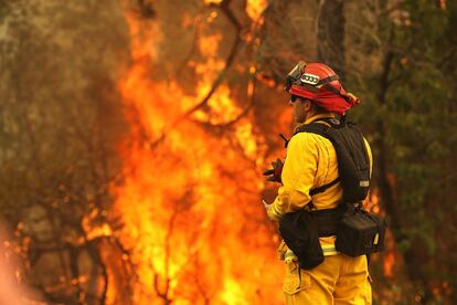 Una abuela y sus dos nietos están entre las cinco víctimas mortales que ha dejado el fuego.