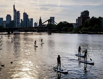 Un grupo de personas practican deporte acuático en el río Meno en Frankfurt.