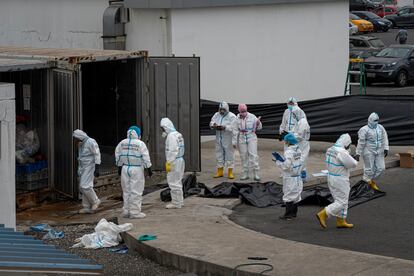 Dressed in protective suits, Criminalistics agents of the National Police remove corpses in a state of decomposition.