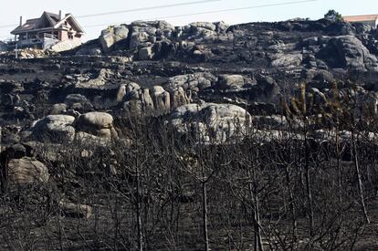 La zona ha quedado arrasada por el fuego y se ha quedado muy cerca de varias viviendas