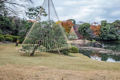 Árboles protegidos con la técnica de Yukitsuri en Tokio. |