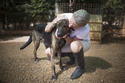 Un perro recibe el cariño de una voluntaria. Los cachorros de Navidad suelen ser abandonados en Semana Santa.