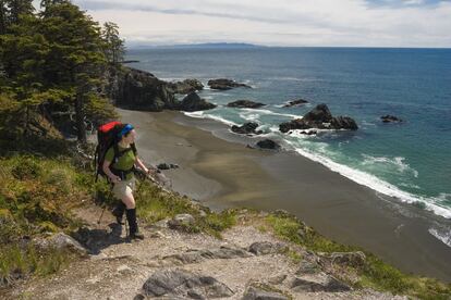 Caminar es la mejor forma de conocer un paisaje y un territorio, y a eso invita el West Coast Trail (en la foto), la ruta de senderismo más conocida de la Columbia Británica, al oeste de Canadá. Es una de las rutas de trekking más duras de Norteamérica –no apta para principiantes–, pero también de las más bellas.