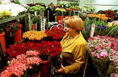 Una de las neveras de Mercabarna donde se almacenan las rosas que saldrán a la venta el día de Sant Jordi.