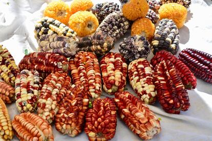 Variedades de maíz en el mercado de Pisaq, uno de los lugares de paso típicos antes de llegar a las ruinas de Machu Picchu.
