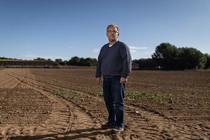 En la imagen, Xavi Frigola, coordinador de Unió de Pagesos (UdP), ante su campo de colza en Vila-Robau (Ventalló), donde no ha crecido nada. 