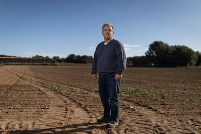 En la imagen, Xavi Frigola, coordinador de Unió de Pagesos (UdP), ante su campo de colza en Vila-Robau (Ventalló), donde no ha crecido nada.