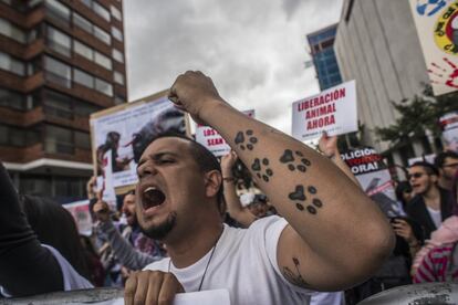 Desde enero de 2017, cuando el toreo volvió a Bogotá tras años de prohibición, los animalistas acompañan con sus protestas cada corrida de la temporada.