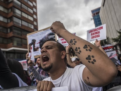 Una protesta animalista en Bogotá, en una imagen de archivo.