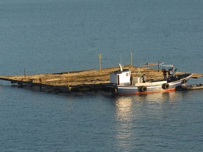 La batea depuradora instalada en la r&iacute;a de Ferrol./ GABRIEL TIZ&Oacute;N