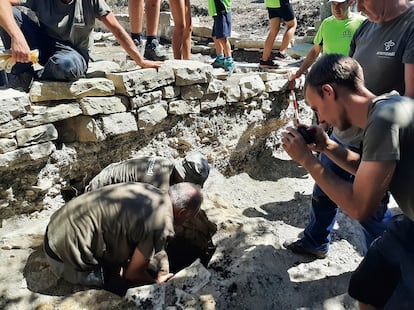 Proceso de excavacin del ara.