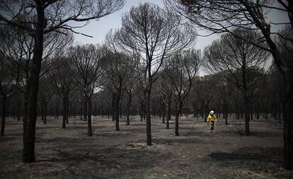 'Desolación', la fotografía galardonada por el Premio Andalucía de Periodismo 2017.