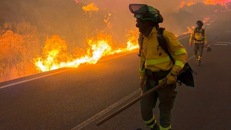 Viento, barrancos y decenas de casas diseminadas: la noche infernal de Bédar