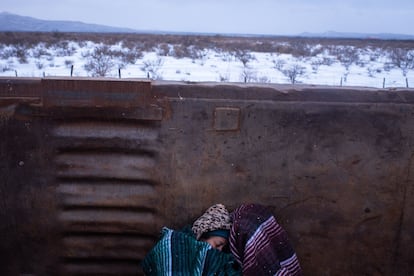 Para muchos migrantes, 'La Bestia' es la última etapa de su travesía hacia Estados Unidos, en la que soportan temperaturas extremas.