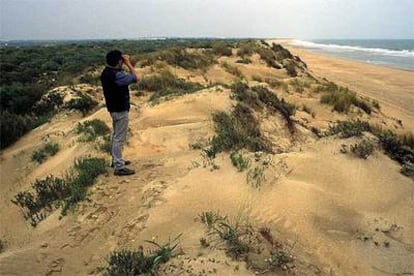Dunas móviles en la flecha de arena de El Rompido (entre retamas y brezos). En su vertiente atlántica, este paraje natural onubense ofrece playas rectilíneas de arenas finas y restos de conchas marinas.