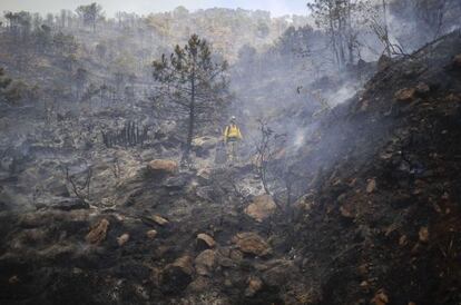 Un agente contra el fuego trabaja en una zona quemada.