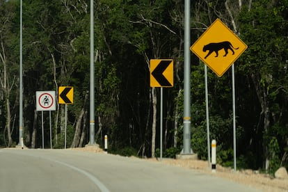 Wildlife crossing sign at the main entrance of Tulum's new airport.