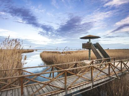 Torre de observación ornitológica en la laguna de la Encayissada, la más extensa del parque natural del Delta del Ebro, en la provincia de Tarragona.