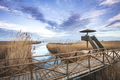 Torre de observación ornitológica en la laguna de la Encayissada, la más extensa del parque natural del Delta del Ebro, en la provincia de Tarragona.