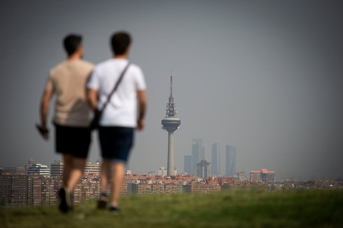 Los días con picos de contaminación incrementan los ingresos y las muertes por infarto | Clima y Medio Ambiente