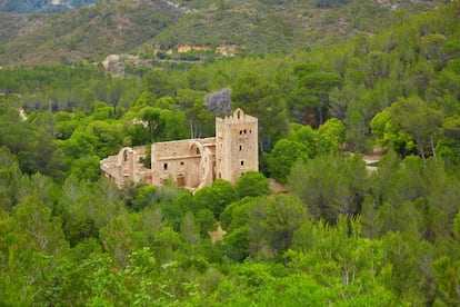 Aunque el valle de la Murta cuenta con una gran variedad de rutas para descubrir su flora y su fauna, la que lleva al monasterio es una de las más conocidas. Declarado Bien de Interés Cultural, este edificio del siglo XIV está rodeado de vegetación y forma parte de un conjunto que merece la pena descubrir. Antiguo cenobio de la orden de los jerónimos, fue un importante centro de peregrinaje de la realeza, la aristocracia y de influyentes personajes religiosos. Tradicionalmente, por su gran variedad de flora, el valle era un lugar importante para la fabricación de medicinas naturales. Por eso se conocía también como el 'valle de los milagros', por las propiedades medicinales de las plantas que allí crecían. También fue un lugar muy especial para las congregaciones religiosas que escogieron este entorno para crear monasterios y ermitas.